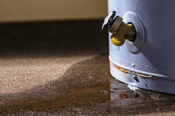 Water damage restoration mold remediation in VA