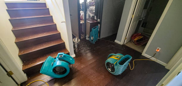Best 24-hour water damage restoration  in Countryside, VA