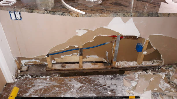 Best Flood restoration services  in Countryside, VA