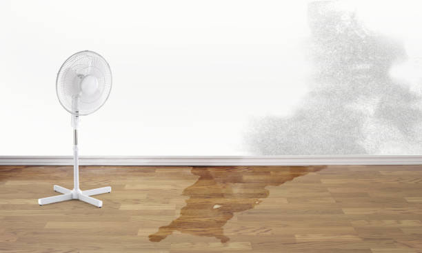 Best Residential water damage restoration  in Countryside, VA