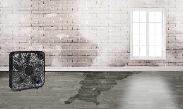 Best Water damage restoration specialists  in Countryside, VA