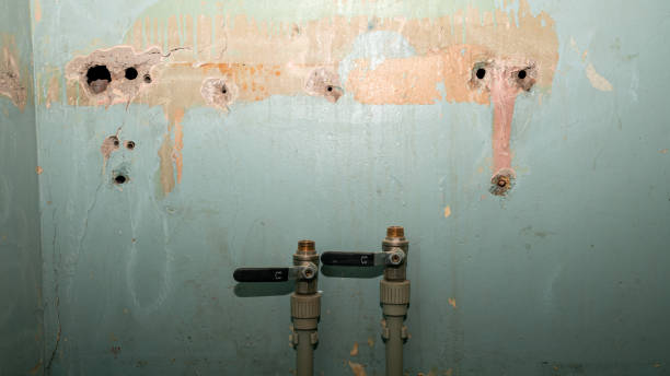 Best Water damage restoration cost  in Countryside, VA