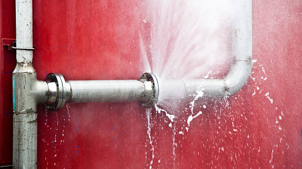 Best Professional water damage repair  in Countryside, VA